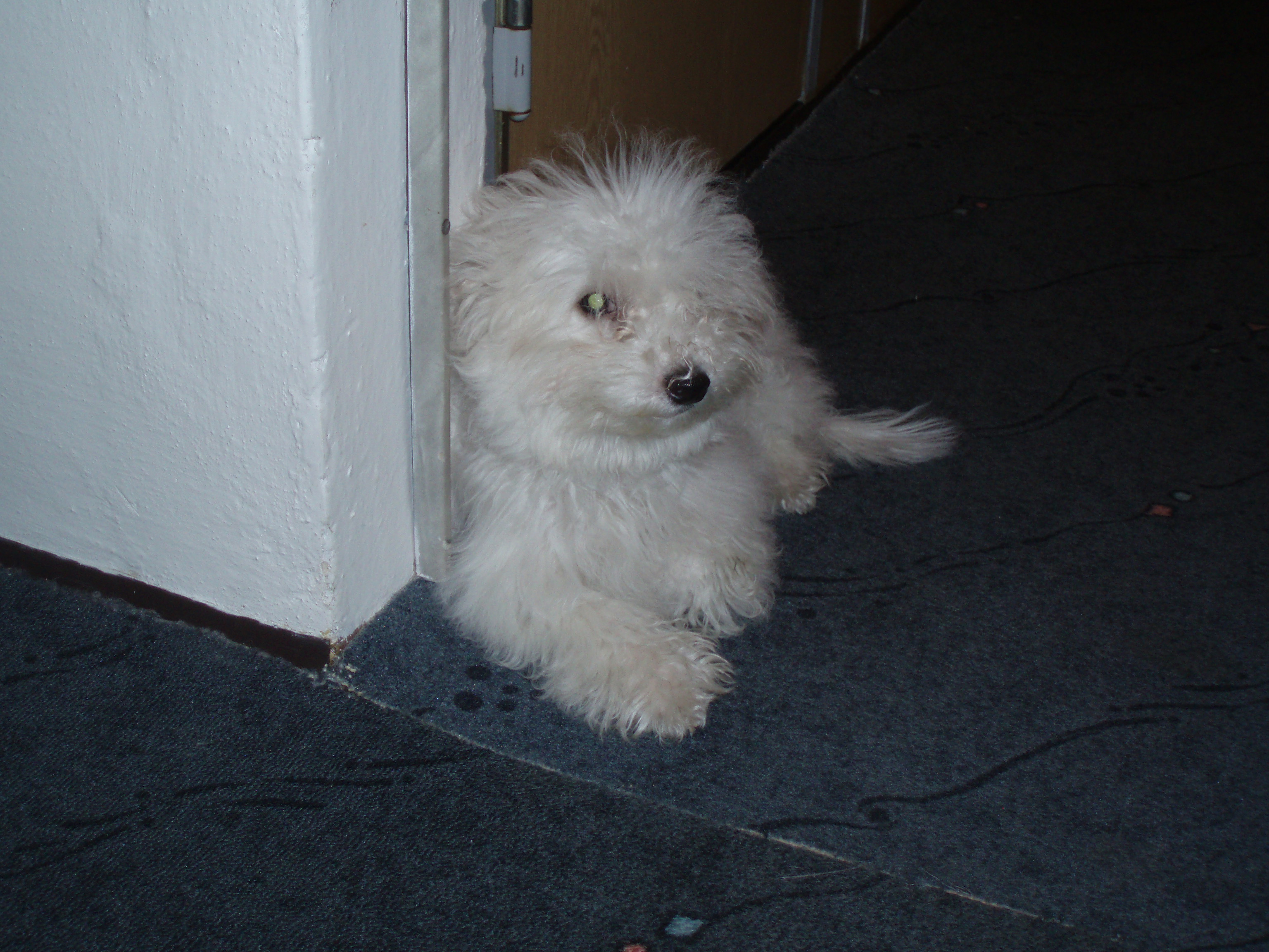PB010131.JPG