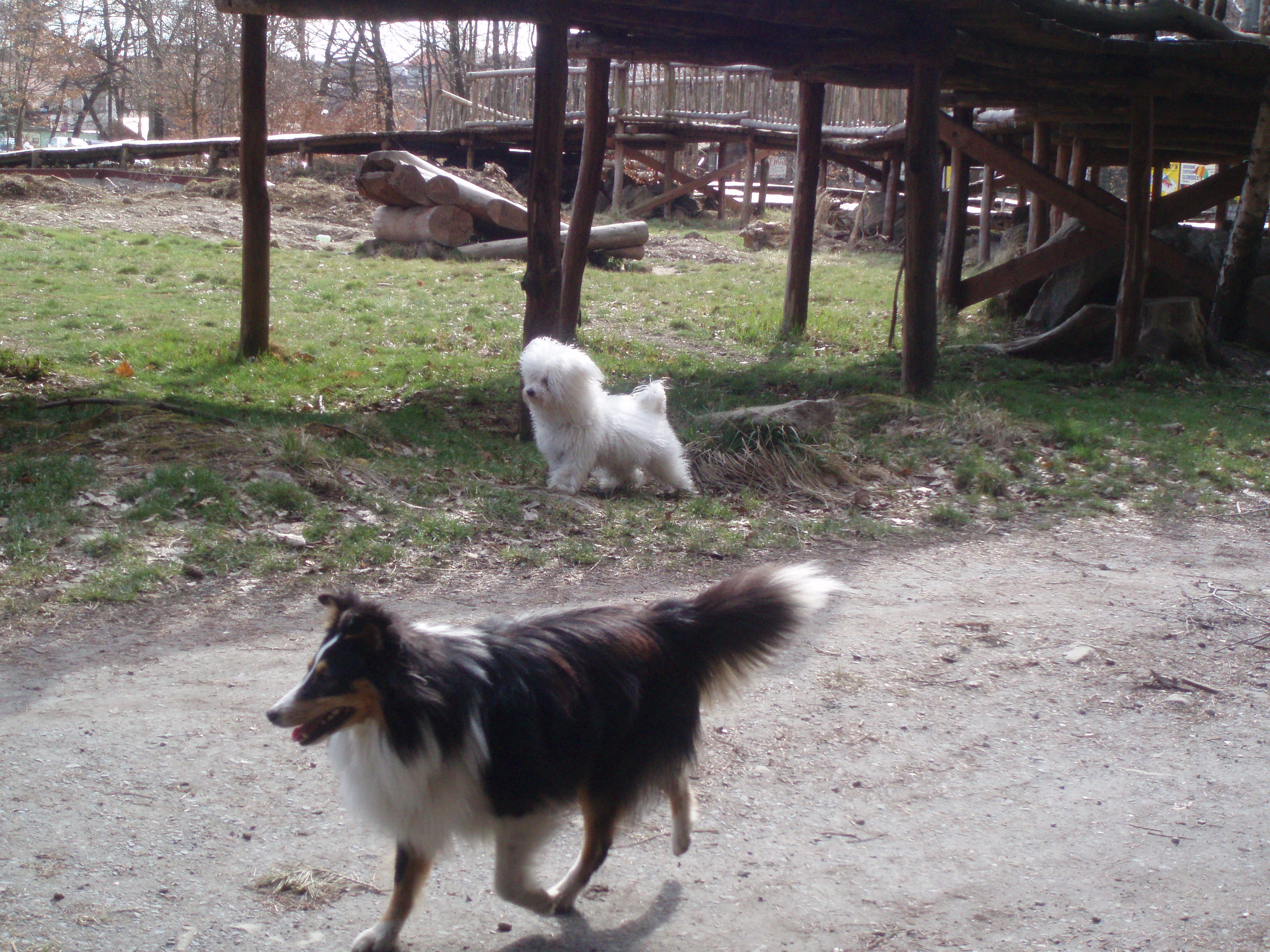 Zoo 024.jpg