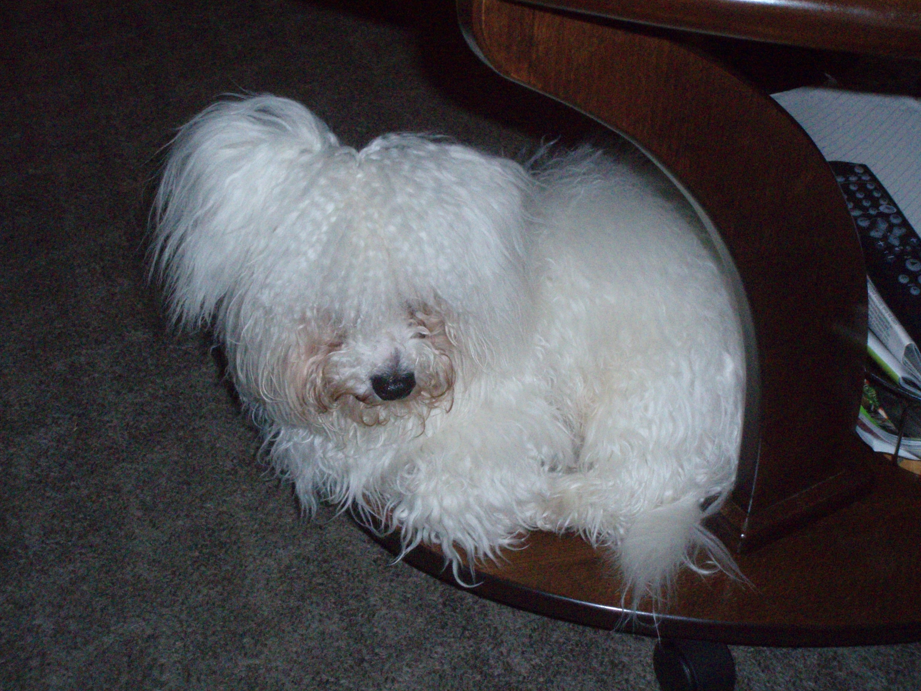P4220127.JPG